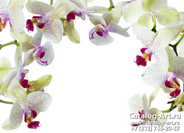Pink orchids 22